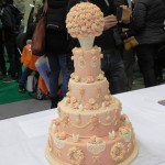 Cake_show_21